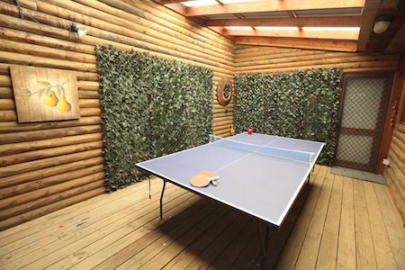 Silverpoint Table Tennis